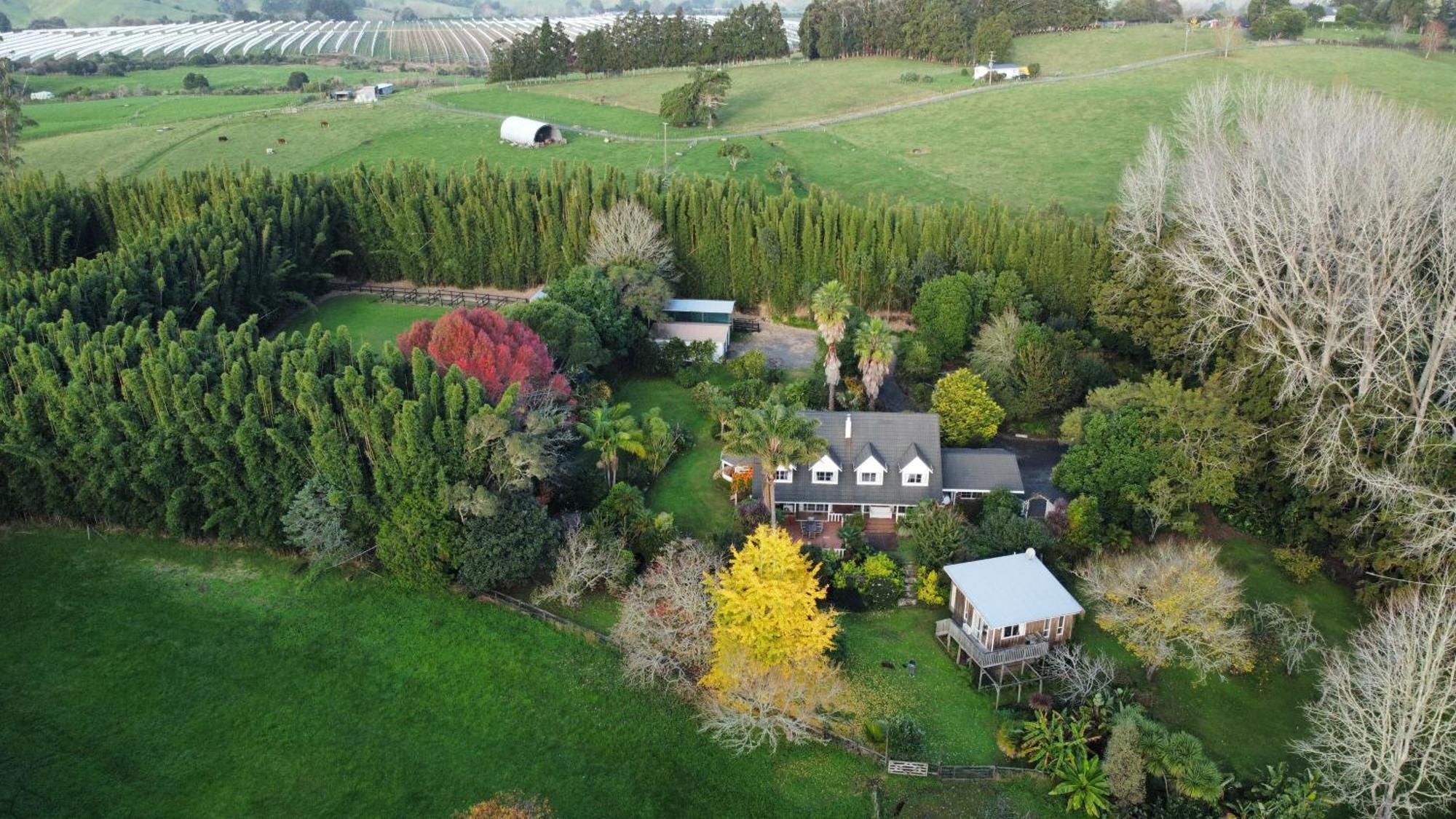 Horse Shoe Manor Пейхия Экстерьер фото